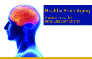 The 501 - Healthy Brain Aging