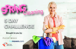 Plush Mills - Spring Cleaning Challenge