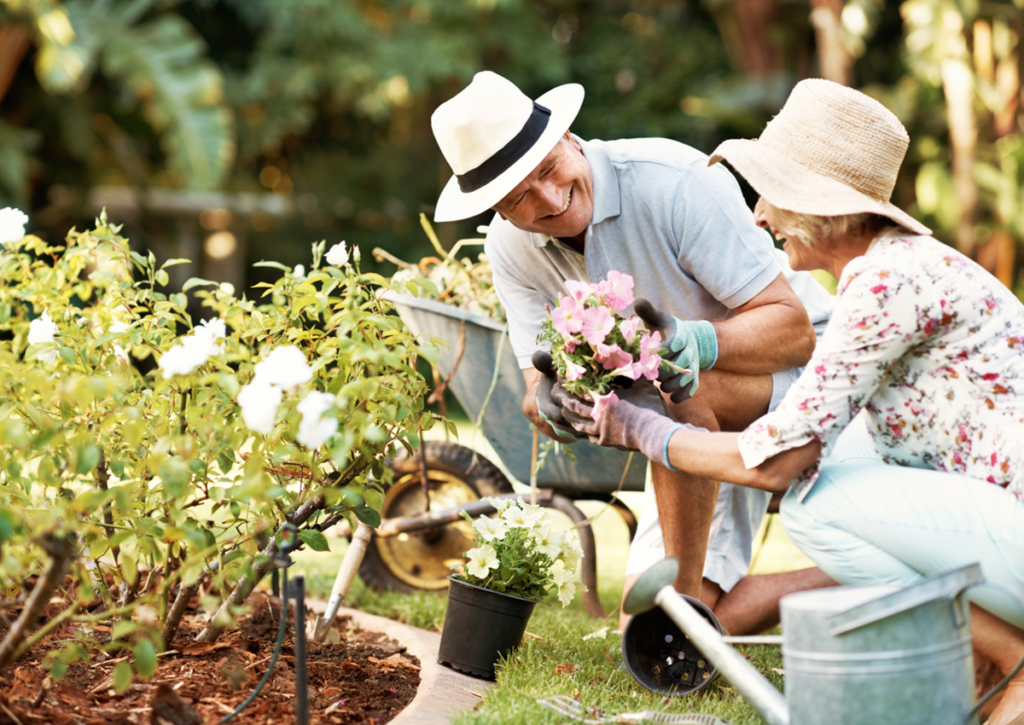 Our 15 Favorite Senior Living Hobbies