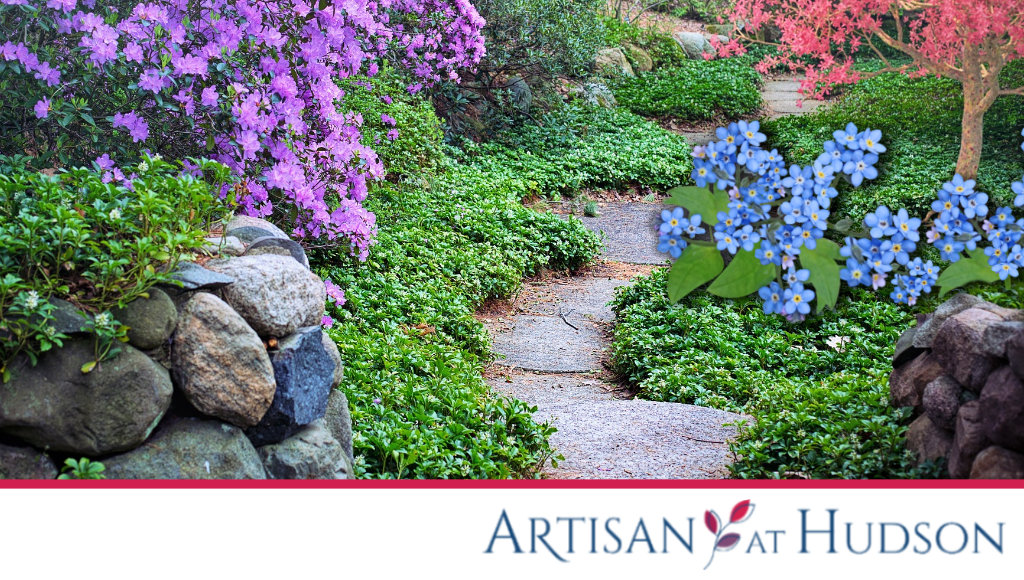 Artisan at Hudson - Alzheimer's Walk